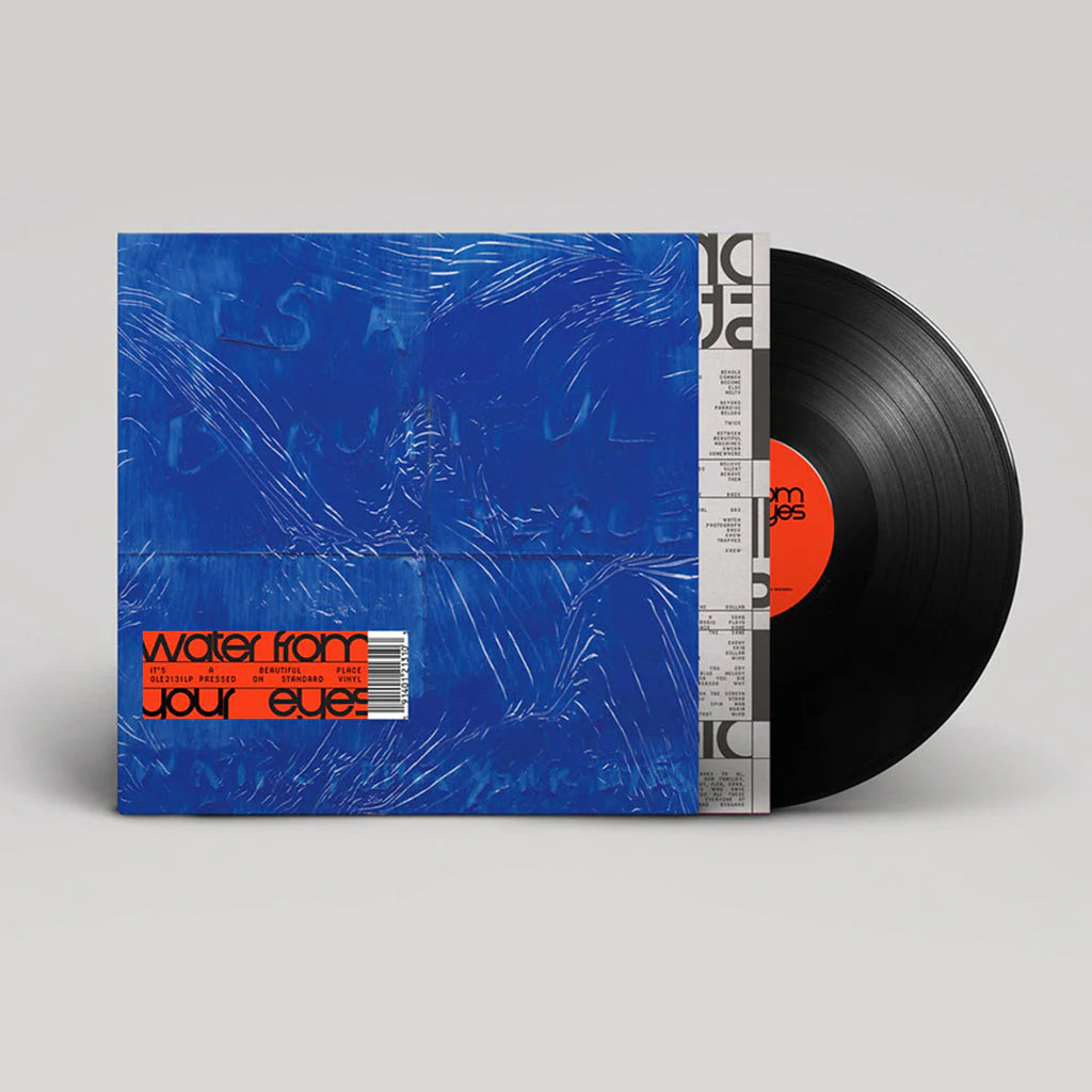 WFYE- It's A Beautiful Place Vinyl